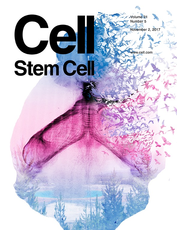 上海交大博士研究生在干细胞顶级期刊发表封面论文